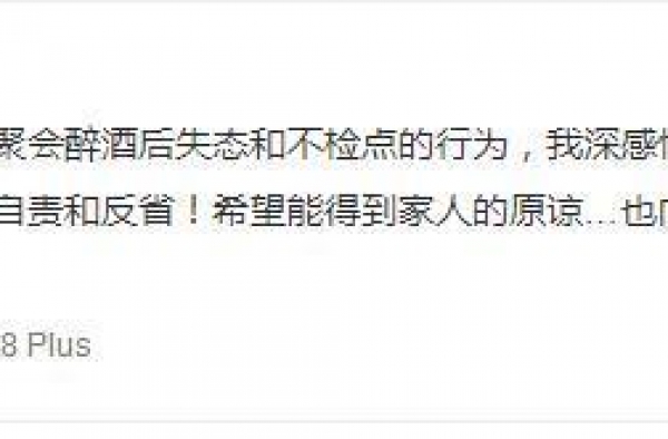 王岳伦为自己不检点行为道歉，其女儿王诗龄点赞微博