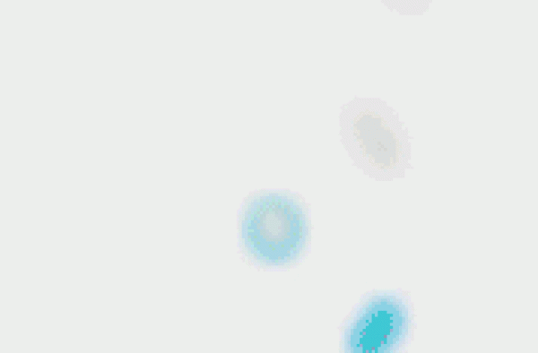 再见了，宝财哥，再见，谢园