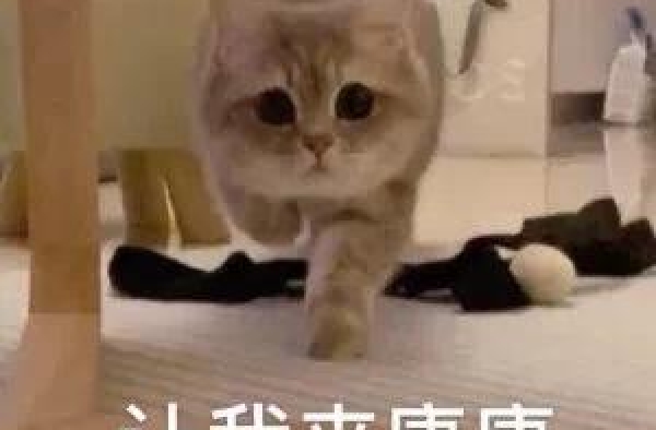 一张合照脑补十万字校园小说，颜霸cp拯救丑土尬国产偶像剧么？