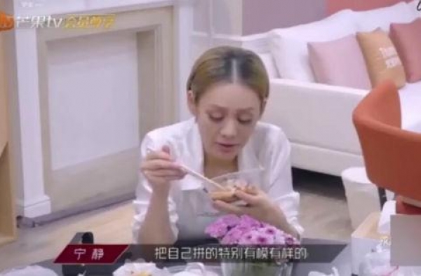 宁静称艺人要做艺不是卖人设 静姐个人资料和简历介绍