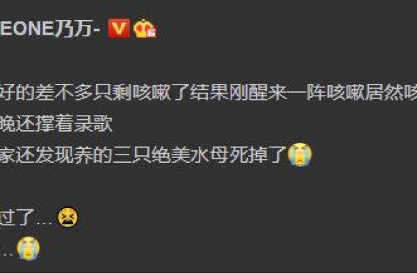 乃万病情恶化咳血！一个月13天都在工作，网友心疼本人却很满意
