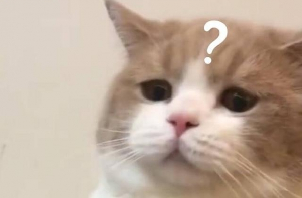 张靓颖绯闻男友发长文，网友：竟然离婚了？