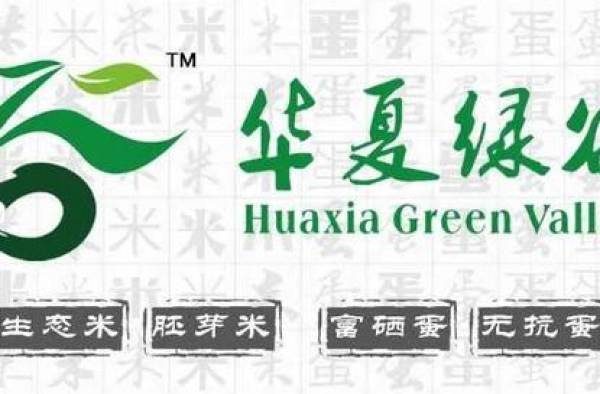 今年香港小姐冠军果然是她