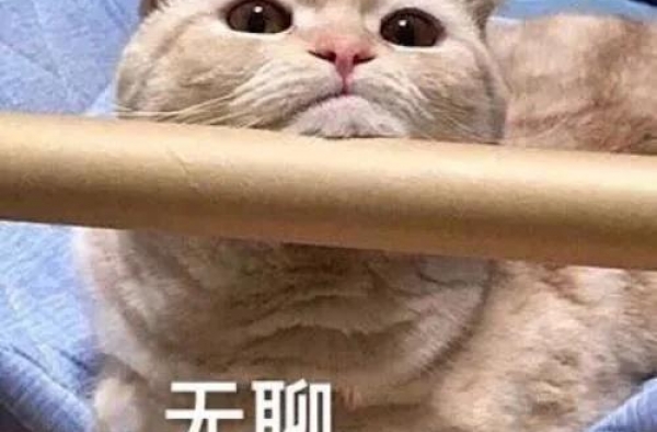 这么锤的亲密照，不是恋情难道是约P？