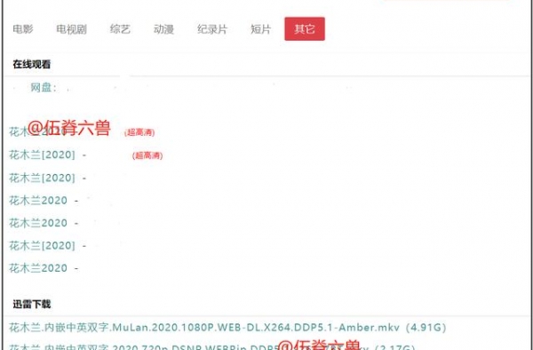 《花木兰》盗版横行，院线还没上映，网上已经有1080高清版本