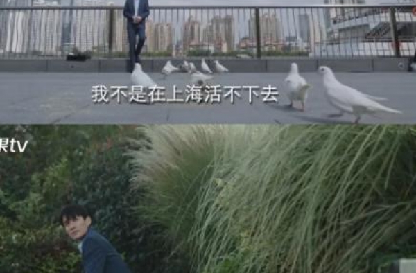 朱一龙演“社畜”观众有共鸣，刘诗诗恋爱戏又尬又飘