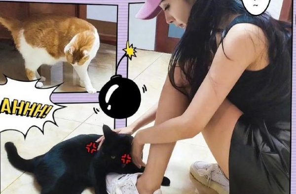 杨幂宋妍霏的衣Q这么高，反季单品的赏味时间怎能错过？