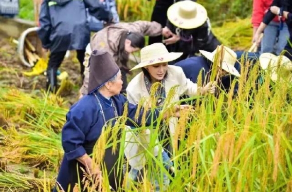 33岁张馨予去农村，被指像沈梦辰，一个动作可以看出谁更礼貌！