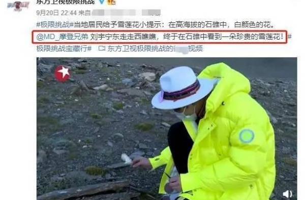 《极挑》发声道歉：没实际发生采摘珍稀植物的行为 虚心接受批评