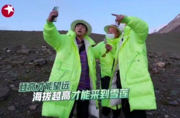《极限挑战》疑采摘国家二级保护植物，这个锅谁来背？