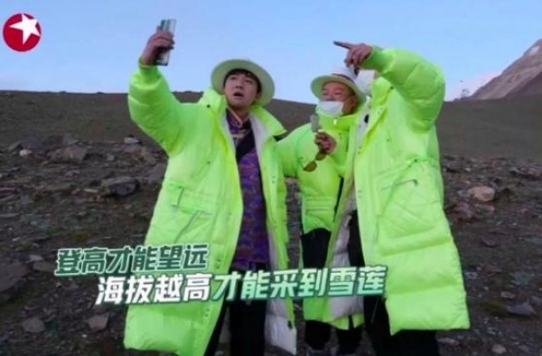 极限挑战节目组致歉：实际未发生采摘珍稀植物行为，接受批评