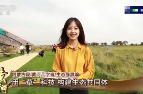 叫冰冰的都好看？最美记者王冰冰直播出圈，撞脸女团选手要出道？
