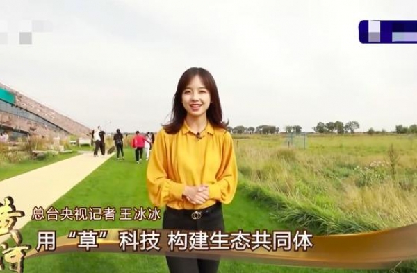 央视记者王冰冰旧照被扒，皮肤黝黑驼背像土妞，逆袭过程被赞励志