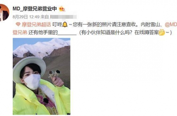 论见 |“刘宇宁采雪莲事件”的冷思考