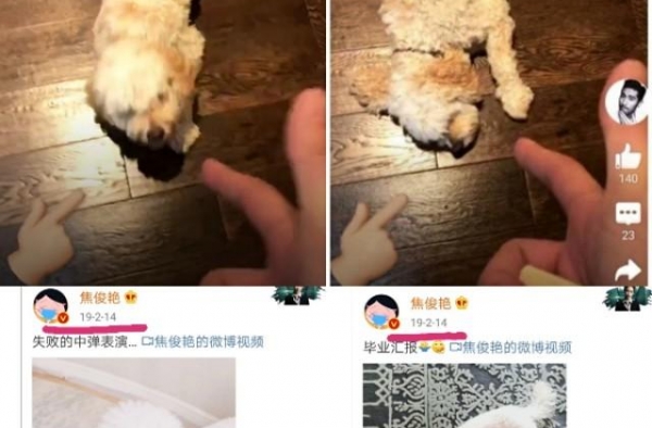 清清白白焦俊艳