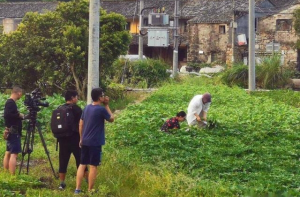 周迅古村直播，意外发现老人长寿秘诀，这样的环境想生病都难