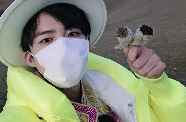 先有王祖蓝，岳云鹏，后有刘宇宁：综艺节目或成明星们的照妖镜