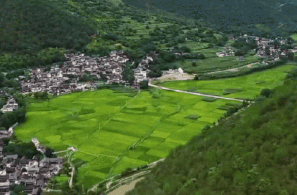 8.5分收官，“含梗量”100%，口碑国综番外够特别