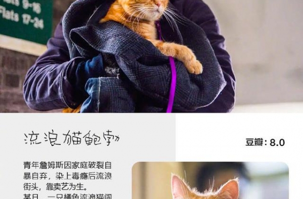 9部超治愈的宠物电影