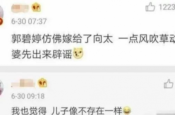 郭碧婷女儿都生了，向太还是第一发言人，向佐的爱情还是不自由