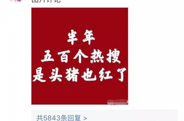 “半年五百个热搜，是头猪也红了！”