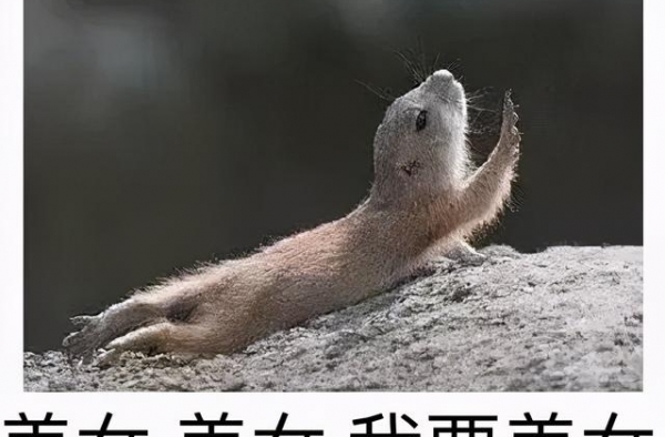 娱乐圈眯眯眼女神，最美的身高竟然182cm？还是郑爽的老师？