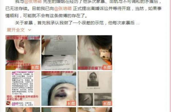 张培萌抢夺孩子视频曝光 张培萌妻子再发声说了什么