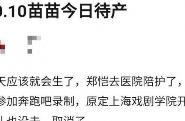 网曝郑恺老婆已经生产，网友评论：家里有两只小猎豹，疑似是男孩