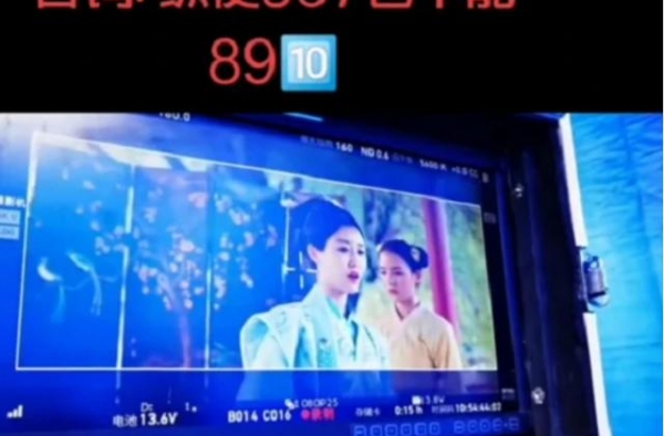 “数字小姐”是无辜的？没办法，大家都太厌恶不敬业的演员了