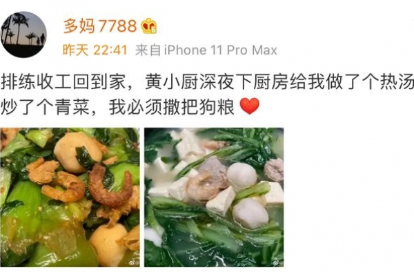 孙莉深夜撒狗粮，全娱乐圈就羡慕她家