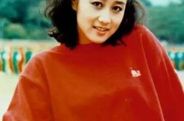 港星美女之利智