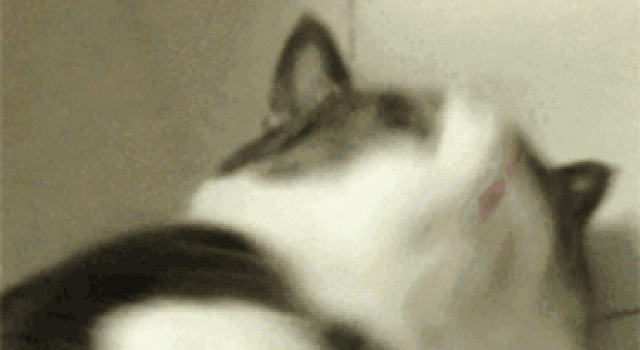 怀孕了？谢娜直播间疑似出现孕吐，再次引发怀二胎猜测