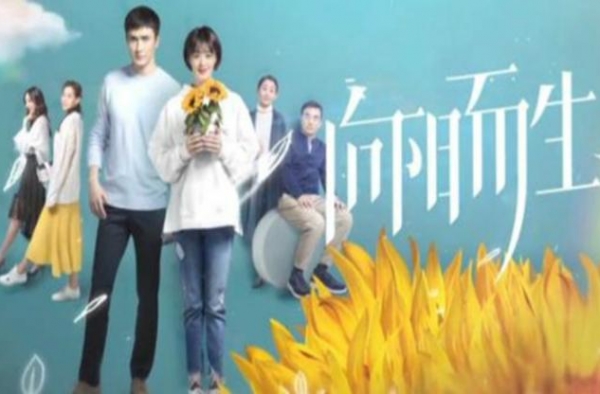 《向阳而生》大结局，或与电影版不一样，是一个幸福结局