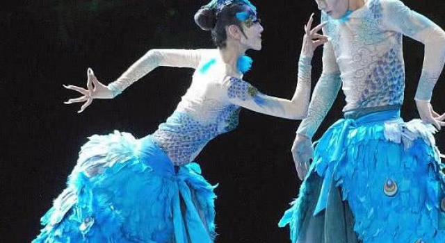 杨丽萍10年不摘帽子，本以为是装饰，摘下帽子时令人感慨颇多
