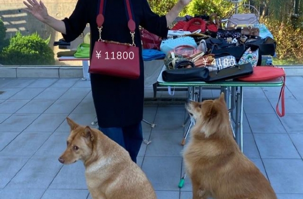 汪明荃晾70个包，百万正品挂着像地摊货！六千万的豪宅只住俩人