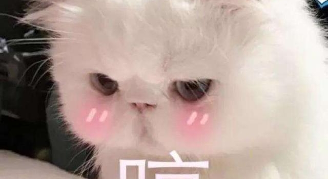 丫蛋二婚后露面疑怀孕，直播惨淡公司难，离开春晚她咋销声匿迹？