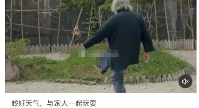 69岁张纪中携两子玩耍，陪儿子踢球体力不支，爸爸不好当啊
