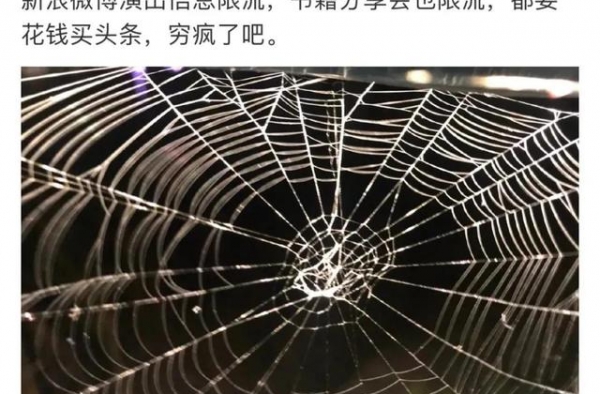 我亲身参与微博热搜第一，赚了1.5元