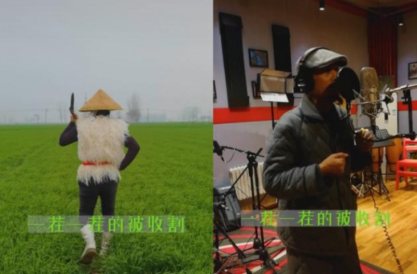 阿宝田里割韭菜，录新歌场地太简陋！之前住地下室贷款十年才买房