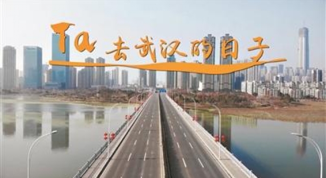 全球纪录片汇广州