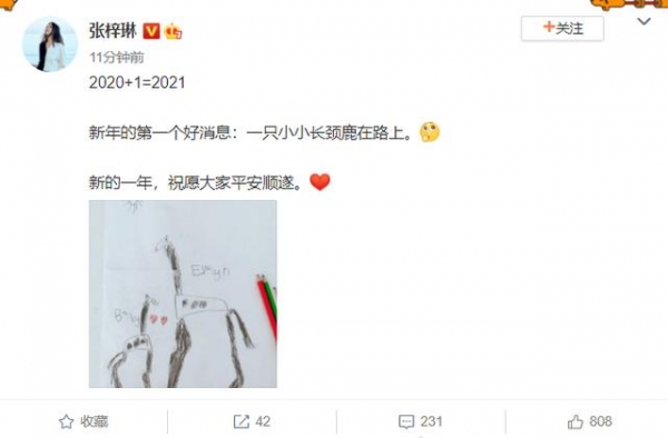 张梓琳官宣怀二胎！4岁女儿画画别有寓意？一家人身高腿长太逆天