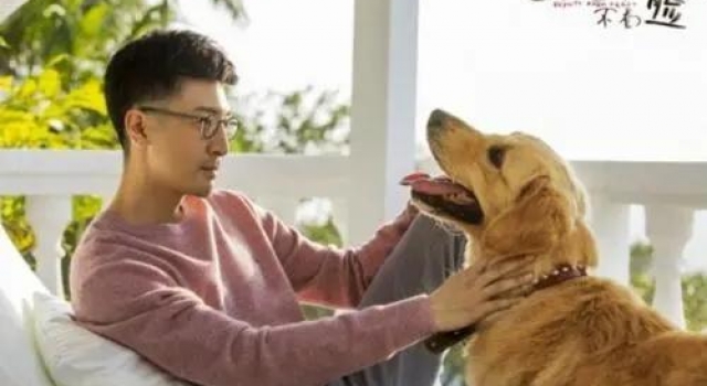 一等就是四年！张鲁一老剧新播，《这个世界不看脸》能翻盘么？