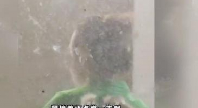 姚笛与富商男友约会，吞云吐雾似老烟枪，获男友宠溺亲吻好甜蜜