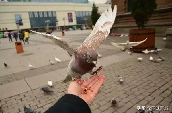 邱礼涛：当“愤世者”变成了“救市者”