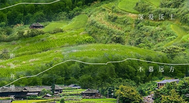 海报丨《江山如此多娇》周日见！快乐追剧模式即将开启